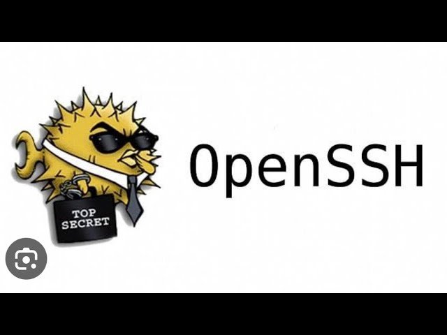 Multiples vulnerabilidades en OpenSSH